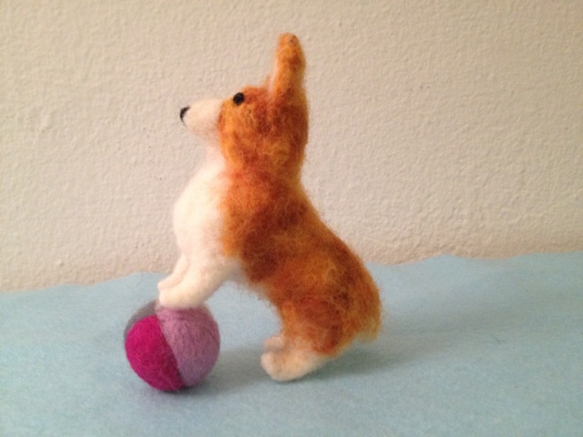 corgi with ball